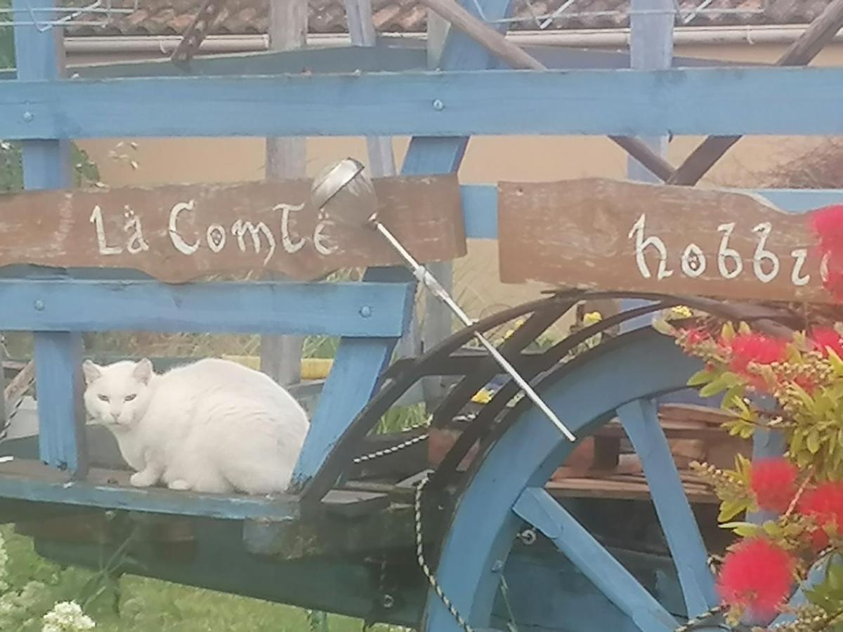 La Fee Viviane Et Michel L'Enchanteur Robion en Luberon Kültér fotó