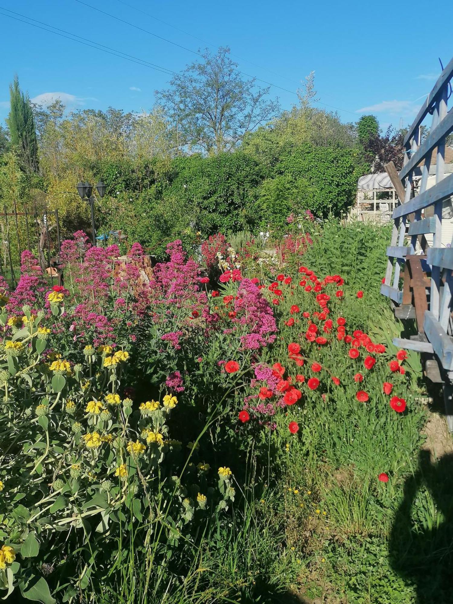 La Fee Viviane Et Michel L'Enchanteur Robion en Luberon Kültér fotó