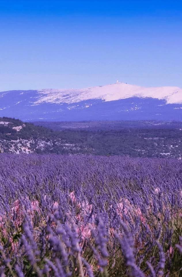 La Fee Viviane Et Michel L'Enchanteur Robion en Luberon Kültér fotó